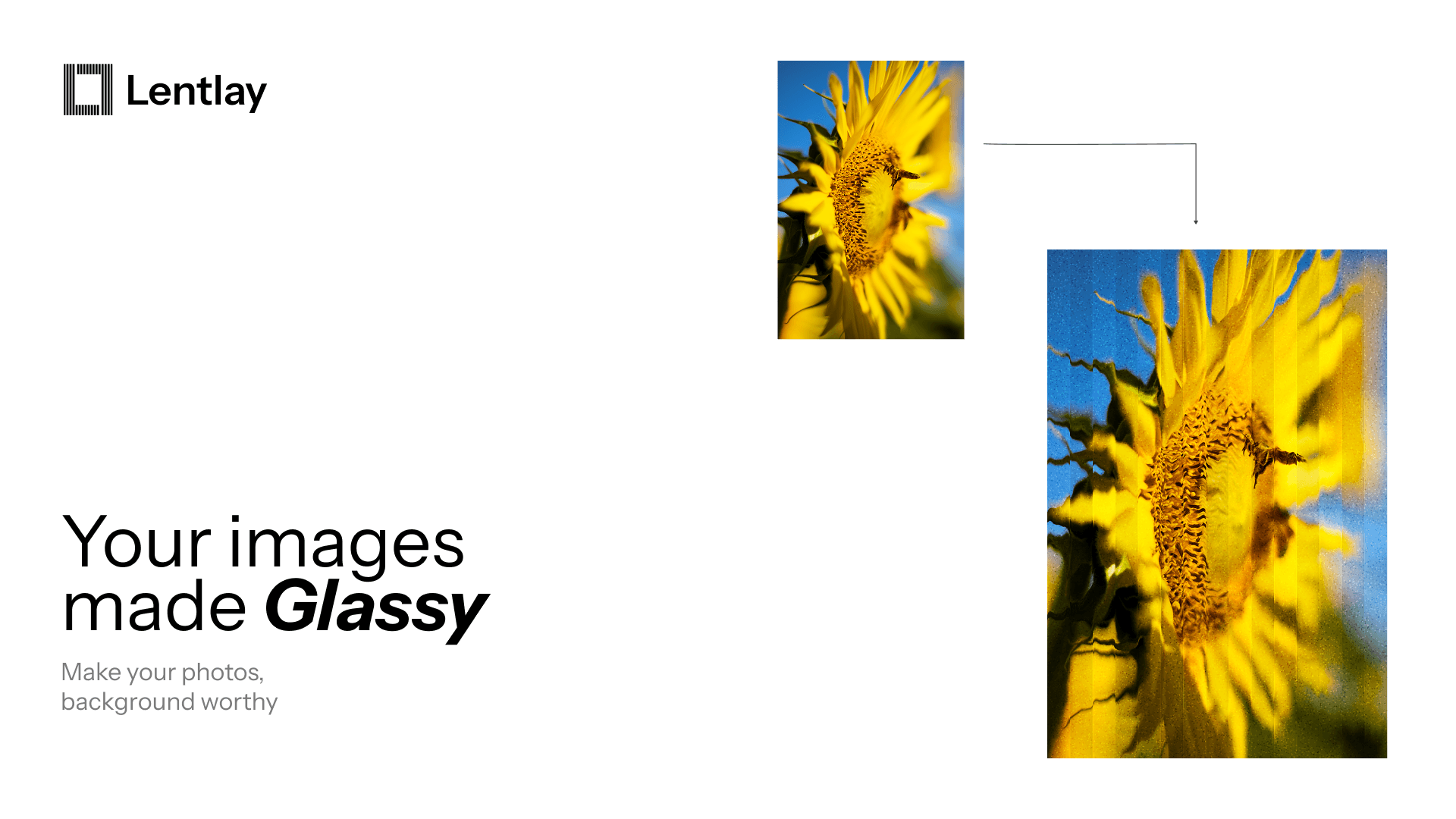 How I ideated, designed, built, launched Lentlay on Peerlist which got staff picked!